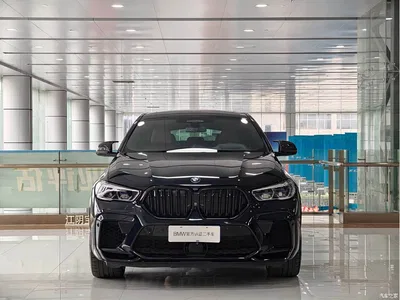2021 BMW X6 xDrive40i Exclusive M Sport Package, фото 4, лот 10408982