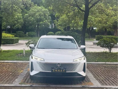 2023 Changan Yida Blue Whale NE 1.5T GDI DCT Pilot, фото 2, лот 11181938