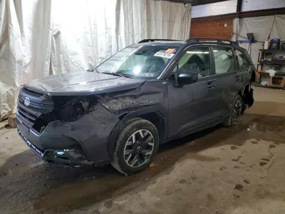 2025 SUBARU FORESTER, фото 1, лот 10566572