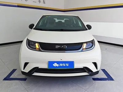 2025 Byd Dolphin, фото 2, лот 10246662
