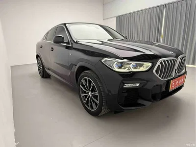 2021 BMW X6 xDrive40i M Sport Package, фото 4, лот 10469238