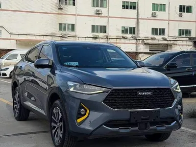 2019 Haval F7x 2.0T 4WD Performance Edition, фото 1, лот 11023709