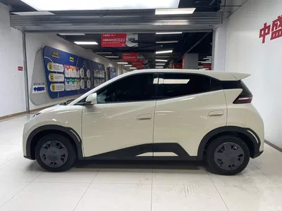 2024 BYD Seagull Glory Edition 305km Vitality Edition, фото 4, лот 10245402