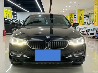 2018 BMW 5 Series Facelift 530Li Exclusive Luxury Package, фото 1, лот 11215282