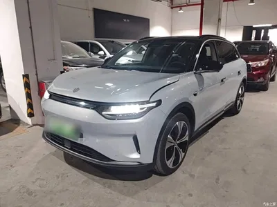 2021 Leapmotor C11 Luxury Edition, фото 1, лот 10440979