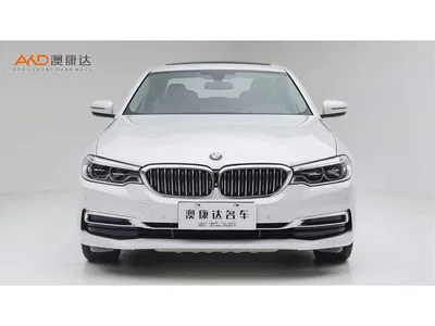 2019 BMW 5 Series 530Li Premium Luxury Package, фото 2, лот 11528179