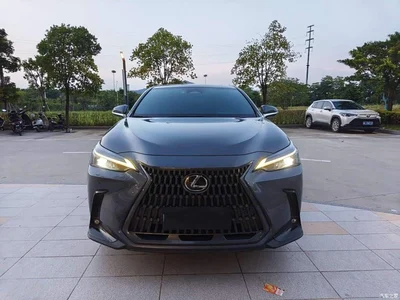2022 Lexus NX 260 FWD Joy Creation Edition, фото 2, лот 11527478