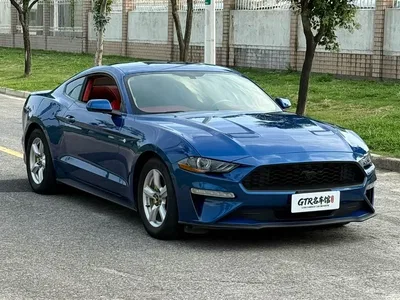 2018 Ford Mustang Model 2.3L EcoBoost, фото 3, лот 10625005
