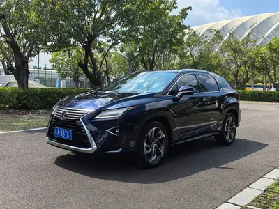 2016 Lexus RX 300 4WD Elegance Edition China VI, фото 1, лот 11569093