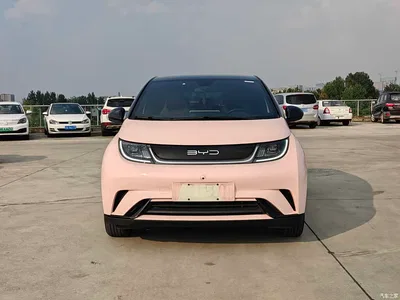 2023 BYD Dolphin 420km Fashion Edition, фото 3, лот 10255412