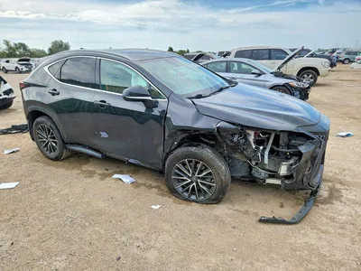 2023 LEXUS NX 350H, фото 4, лот 10846025