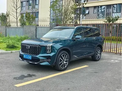 2022 GAC Trumpchi Trumpchi GS8 Pilot Series 2.0TGDI 4WD Luxury Smart Connect Edition (7-Seater), фото 1, лот 10448599