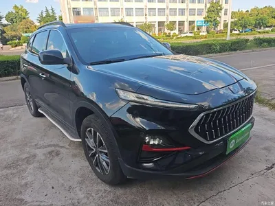 2021 Sehol X7 1.5T Luxury, фото 4, лот 11153488