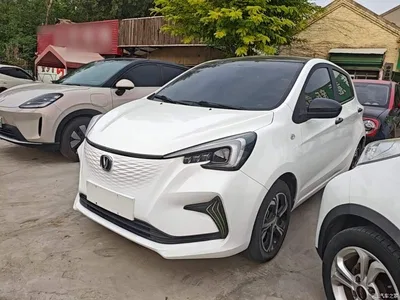 2020 Changan Benben E-Star Model Happy Edition (LFP 31.18kWh), фото 1, лот 10390507