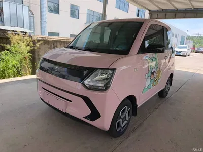2022 Dongfeng Fengguang MINIEV Model Practical Edition Comfort, фото 1, лот 11160694