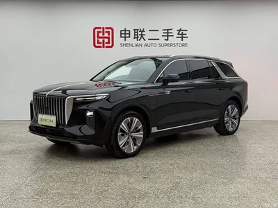 2021 Hongqi E-HS9 460km Flagship Comfort 6-seater, фото 1, лот 10304109