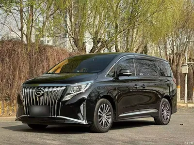 2023 GAC Trumpchi Trumpchi M8 Leading Series 390T Prestige Edition, фото 2, лот 10424558