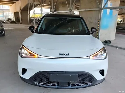 2024 smart Elf #1 Agile Standard Edition, фото 3, лот 10343650