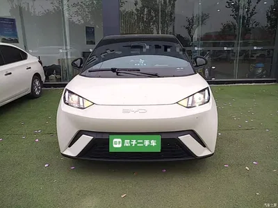 2024 BYD Seagull Glory Edition 305km Vitality Edition, фото 3, лот 10808024