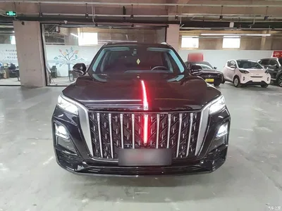 2023 Hongqi HS5 2.0T AWD Flag Enjoy Pro Edition, фото 3, лот 10289810