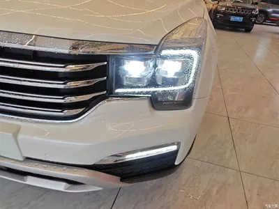 2017 GAC Trumpchi Trumpchi GS8 320T 2WD Luxury Smart Connect (7-seater), фото 3, лот 10424002