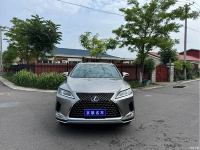 2020 Lexus RX Facelift 300 2WD Elite Edition, фото 2, лот 10317705