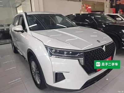 2023 Venucia Star 260T Starshine Edition Pro, фото 4, лот 11153630