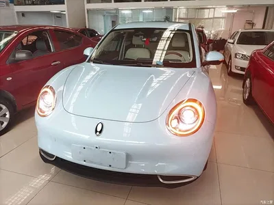2023 Ora Good Cat 401km Standard Range Premium LFP, фото 3, лот 11133731