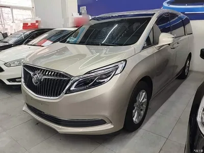 2018 Buick GL8 ES 28T Premium Type China VI, фото 2, лот 10702258