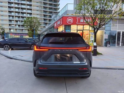 2022 Lexus NX 260 FWD Joy Creation Edition, фото 4, лот 11527478