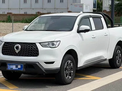 2021 Great Wall Pao 2.0T Commercial Edition Automatic Diesel 4WD Elite Long Box GW4D20M, фото 1, лот 10246125