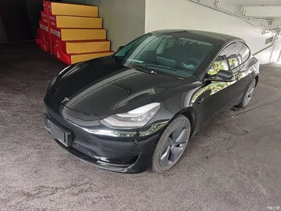 2020 Tesla Model 3 Standard Range Rear-Wheel Drive Upgrade, фото 1, лот 10370136
