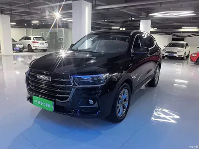 2021 Haval H6 Model National Trend Edition 1.5T Auto Champion, фото 1, лот 10285551