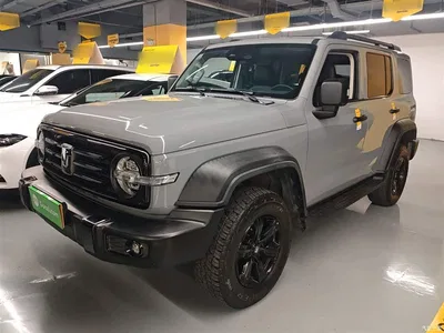 2021 Tank 300 Off-road Version 2.0T Conqueror, фото 2, лот 10345547