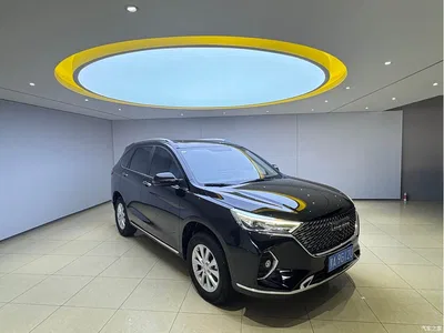 2021 Haval M6 PLUS 1.5T DCT Luxury Smart Connect, фото 3, лот 10306135