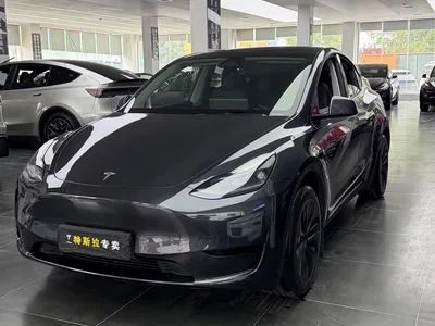 2024 Tesla Model Y Rear-Wheel Drive Version, фото 1, лот 10766133