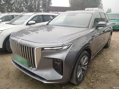 2022 Hongqi E-HS9 690km Qi Xiang Edition (6-seater), фото 1, лот 10289878