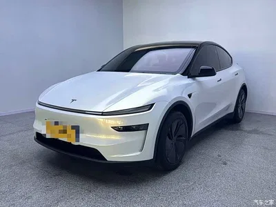 2025 Tesla Model Y Rear-Wheel Drive, фото 1, лот 11012156