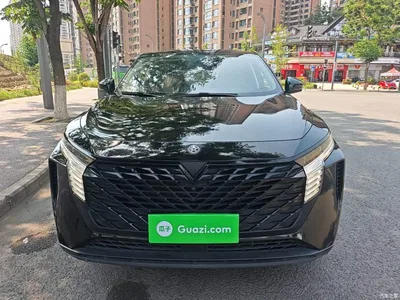 2023 Venucia Big V 260T Dark Horse Edition Pro, фото 3, лот 11153579
