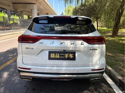 2023 Haval H6 National Trend Edition 1.5T Automatic Champion, фото 3, лот 10395648