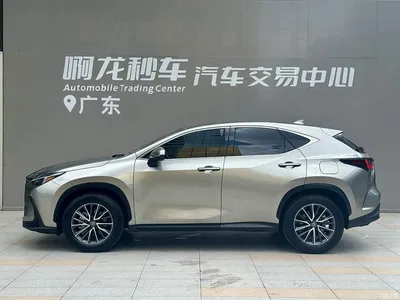 2024 Lexus NX 260 FWD Innovation Edition, фото 3, лот 10436682