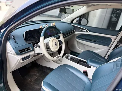 2021 Ora Good Cat 500km Long Range Poseidon Edition (NMC), фото 4, лот 11017407