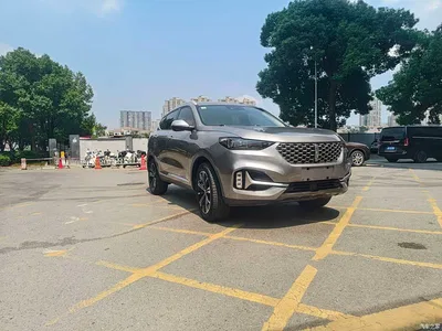 2020 WEY VV6 2.0T 2WD Smart Protection+, фото 1, лот 10444887