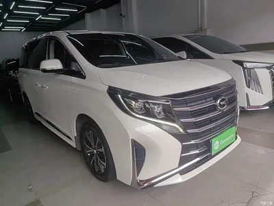 2021 GAC Trumpchi Trumpchi M8 Leading Show Series 390T Premium Edition, фото 4, лот 10422879
