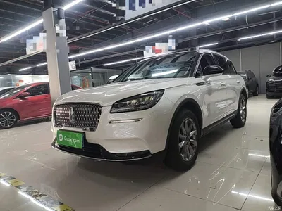 2020 Lincoln Adventurer 2.0T 2WD Premium Enjoyment Edition, фото 2, лот 10357568