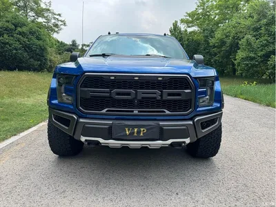 2017 Ford F-150 Raptor 3.5T Raptor Performance Edition, фото 2, лот 10296652