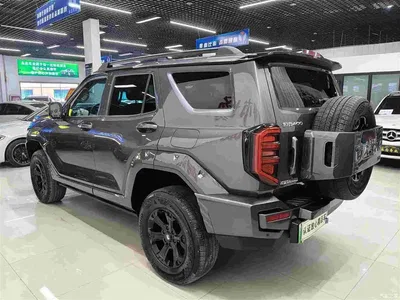 2024 Tank 400 New Energy Hi4-T Off-Road Edition, фото 4, лот 10345193