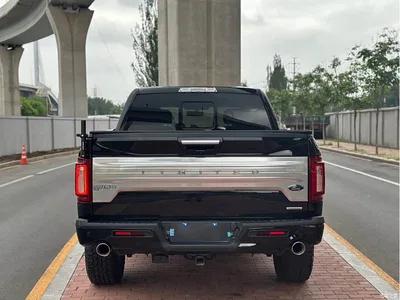 2019 Ford F-150 Raptor 3.5T LTD, фото 4, лот 10296101