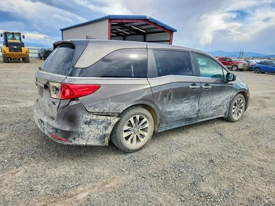 2021 HONDA ODYSSEY EXL, фото 3, лот 10717284