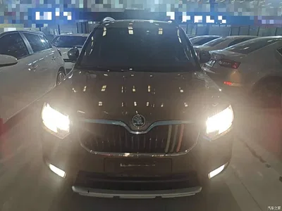 2017 Škoda Yeti TSI280 DSG Advance, фото 3, лот 10348227
